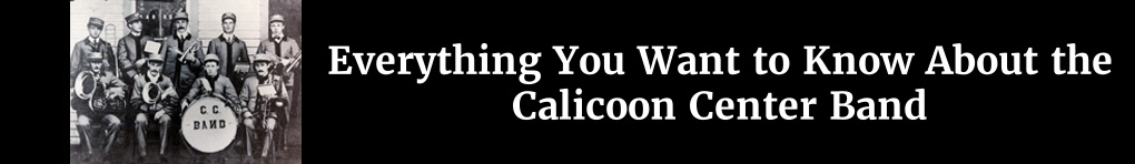 Everything You Want to Know About the Calicoon Center Band